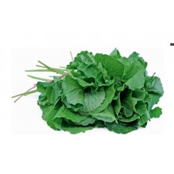 Pennywort leaf 100 gr