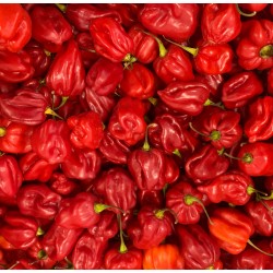 Habanero pepper 100 gr