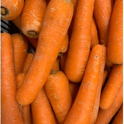 Carrot first kilo