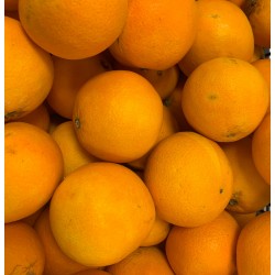 Orange Navelina kilo