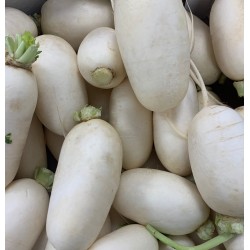 White turnip 500 gr