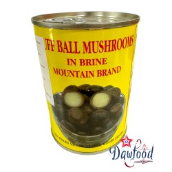 Puff ball mushrooms in...