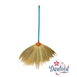 Broom with plastic handle